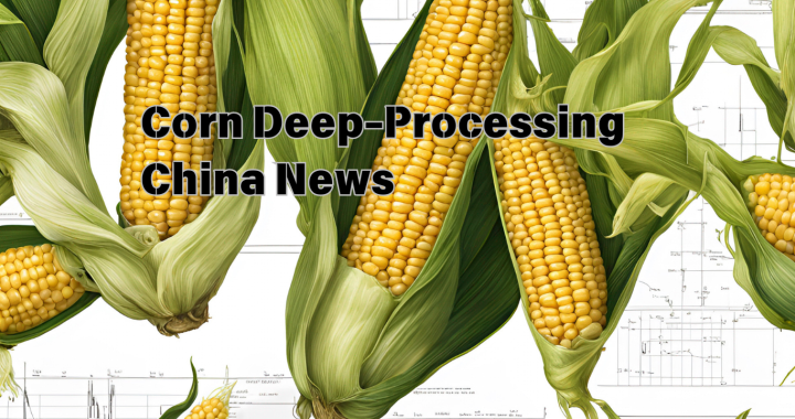 Corn Deep-processing China News