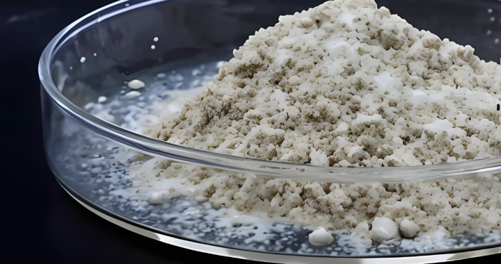 Shandong Aobo’s food-grade amino acids project