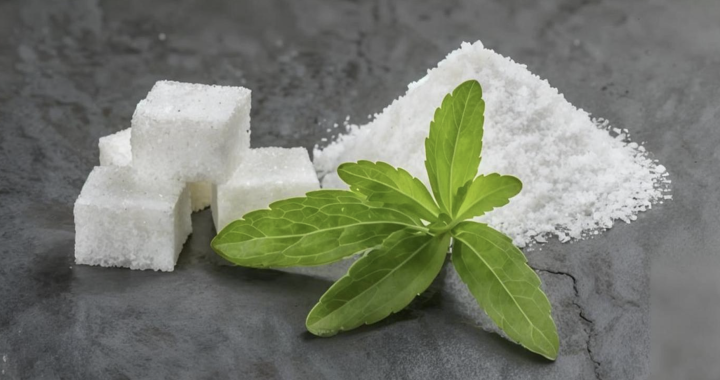 Yulin Heli Completed Stevia Project