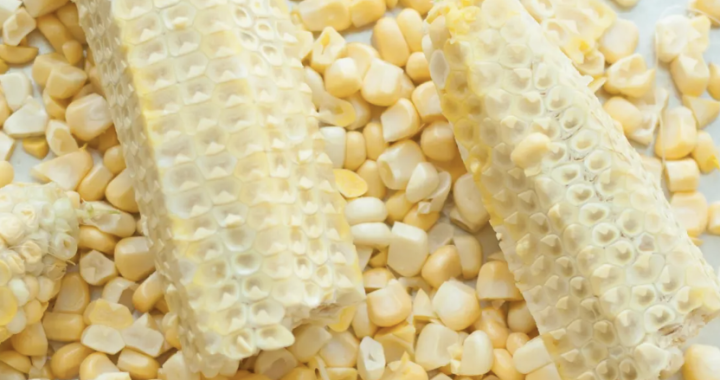 Jilin Haina’s Corncob Comprehensive Utilization Project